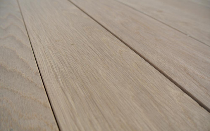 American white oak