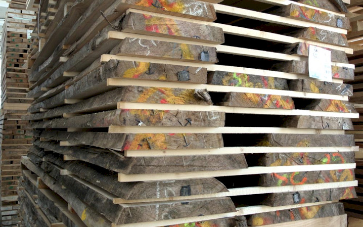 American Red Elm (Olmo Rosso Americano)